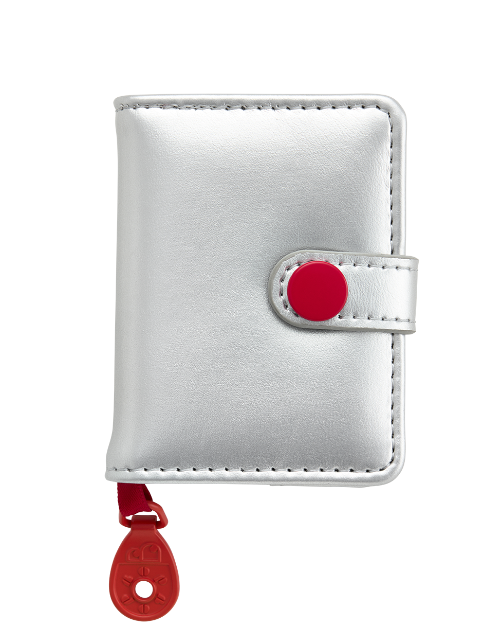 Dear Diary Silver Notebook