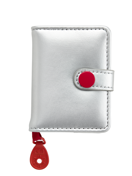 Dear Diary Silver Notebook